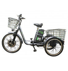 Трехколесный электровелосипед E-motions Kangoo-ru 700w