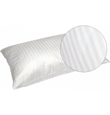 MOLINA